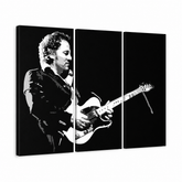 Tablou POP ART pictat manual Bruce Springsteen 3 bucăți bs – Vizualizare 3D a tabloului pictat manual pe fundal alb. Culori dominante: negru, alb, gri.