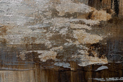O vedere de aproape a picturii, evidențiind textura bogată și compoziția detaliată a copacilor roșii și portocalii într-o pădure de toamnă, Papilora.