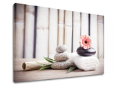 Clasic tablou pe pânză cu motivul FENG SHUI, bambus, flori, natură în bej-roz nuanțe, atmosferă liniștită, natură, potrivit pentru sufragerie – produs