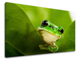 Art deco tablou pe pânză cu motivul peisaj, natură, animal în alb-verde nuanțe, atmosferă liniștită, natură și atmosferă de primăvară, potrivit pentru cameră de copii – principală
