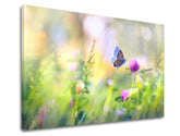 Clasic tablou pe pânză cu motivul FAREBNÉ FLORI, fluture, flori, hartă, natură în maro-albastru nuanțe, atmosferă liniștită, natură și atmosferă de primăvară – produs
