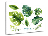 Modern tablou pe pânză cu motivul natură în alb-verde nuanțe, atmosferă proaspătă, natură și paradis tropical, potrivit pentru birou | Tablou de perete s textom Tropical set – produs