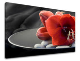 O floare roșie de amaryllis așezată pe pietre de spa gri, pe o farfurie neagră, cu un fundal întunecat, pe o pânză imprimată Papilora.