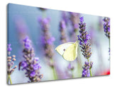 Clasic tablou pe pânză cu motivul fluture, lavandă, flori, hartă, natură în violet-albastru nuanțe, atmosferă liniștită, natură și atmosferă de primăvară – principală