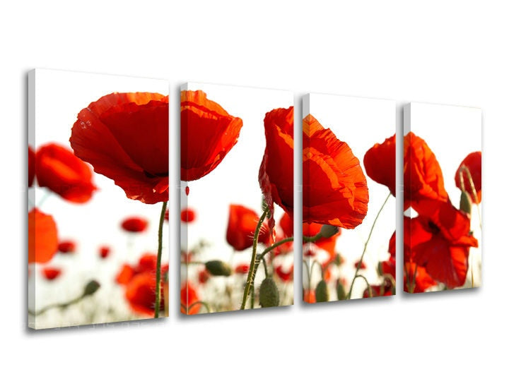 O pânză imprimată cu maci roșii vibranți pe un fundal alb, cu un cadru de lemn vizibil, Papilora.