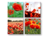 Colaj tablou pe pânză cu motivul Meadow of poppy poppies, maci, flori, câmp, hartă în verde-roșu nuanțe, atmosferă vibrantă, potrivit pentru bucătărie – principală