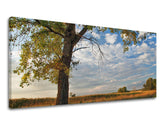 Clasic tablou pe pânză cu motivul PANORAMĂ COPACI, copac, cer, câmp, nori în maro-albastru nuanțe, atmosferă liniștită, natură și singurătate – principală