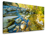 Clasic tablou pe pânză cu motivul copaci, pădure, peisaj, hartă, natură în albastru-verde nuanțe, atmosferă liniștită, natură, potrivit pentru sufragerie – principală