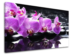 Pictură murală FENG SHUI 100x150 cm