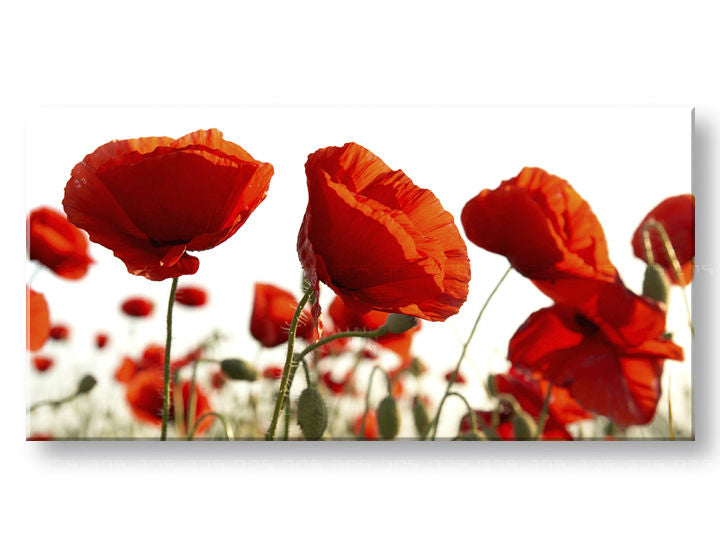 Tablou panoramic de perete FLOWERS 60x120 cm