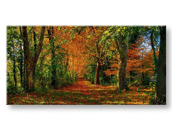 Pictură murală PANORAMA TREES 30x60 cm