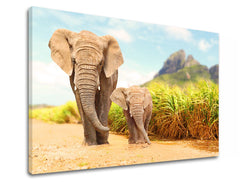 Pictură murală ANIMALE 40x60 cm