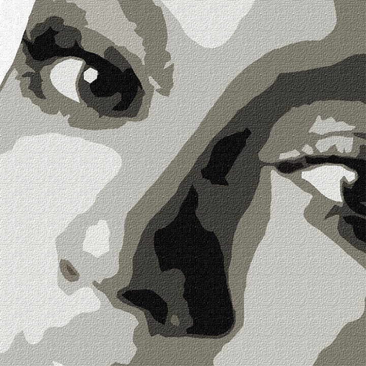 Pictat manual POP ART pictura BEYONCÉ 60x60 cm