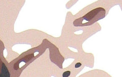 Pictat manual POP ART pictura KATE MOSS 60x40 cm