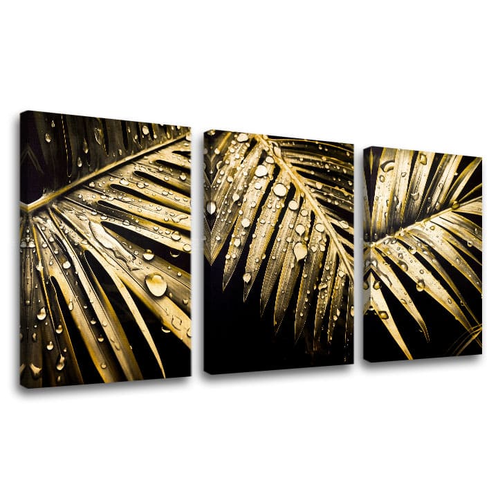 XOBGMDFL006E30-120x60-24h.jpg