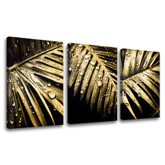 XOBGMDFL006E30-120x60-24h.jpg