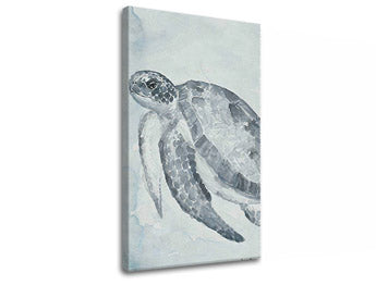 Tablouri canvas BROASCĂ ȚESTOASĂ 1