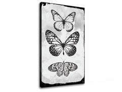 Imaginea pe panza MOTYLES 1 parte XOBCH20477SDE1