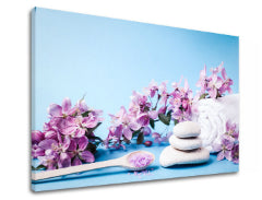 Imaginea pe pânză FENG SHUI_061-11