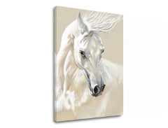 Imaginea pe panza MAJESTY WHITE Pigeon