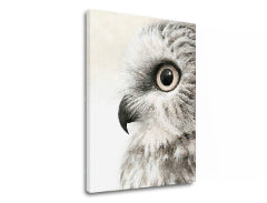 Pictură pe pânză Vedere de bufniță