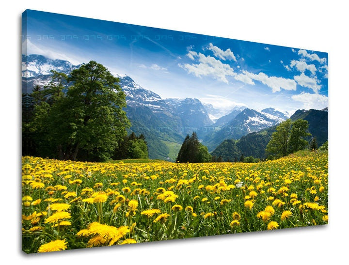 Pop art tablou pe pânză cu motivul peisaj, natură în alb-albastru nuanțe, atmosferă liniștită, natură și atmosferă de primăvară, potrivit pentru sufragerie – principală