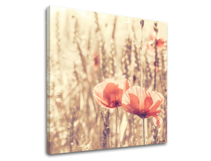 Pictură murală FLOWERS KV074E12