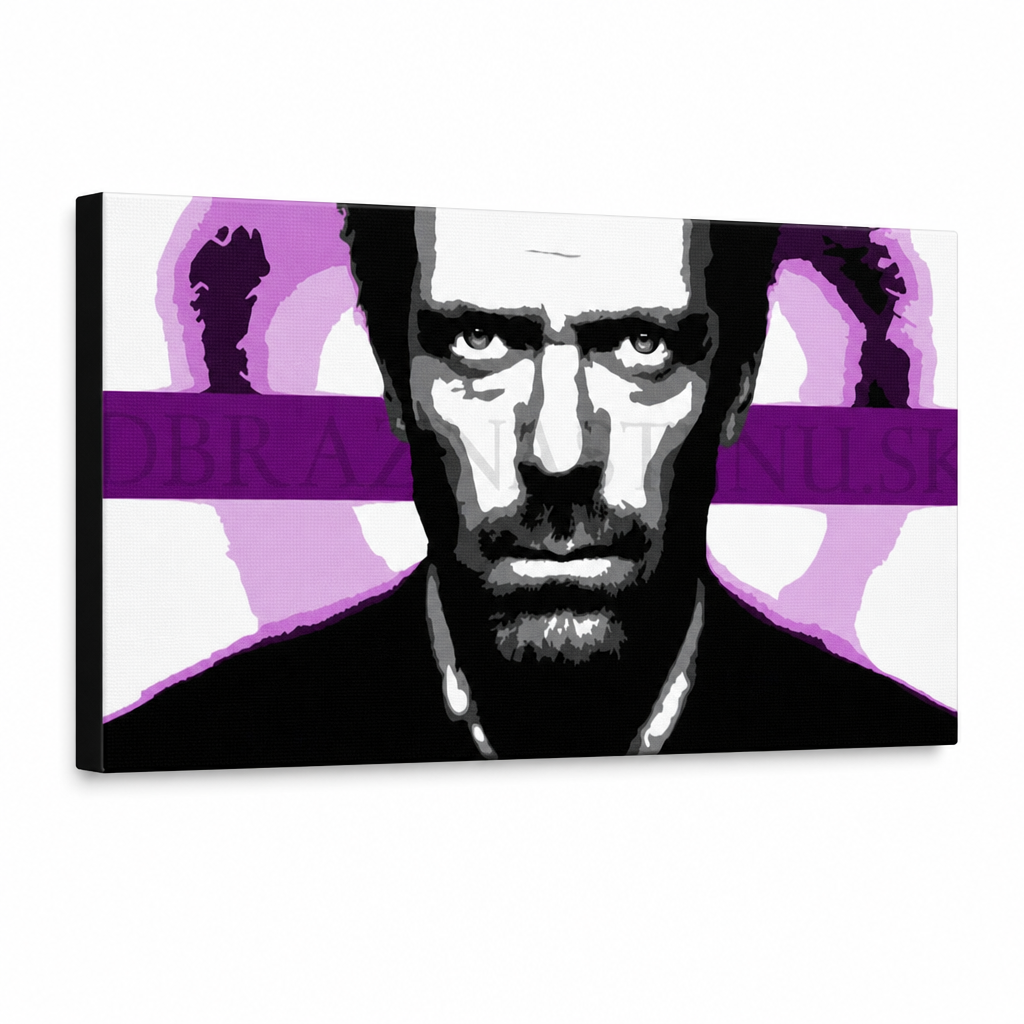 Pictate manual POP Art Art pictura Dr. HOUSE 1 bucată 1010 dh – Vizualizare 3D a tabloului pictat manual pe fundal alb. Culori dominante: negru, alb, mov, roz, gri.