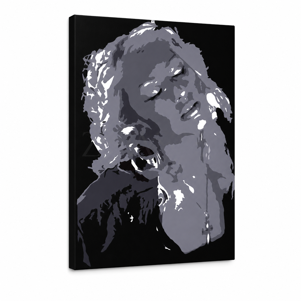 Pictate manual POP Art Christina Aguilera 1 buc ca – Vizualizare 3D a tabloului pictat manual pe fundal alb. Culori dominante: negru, gri, alb.