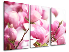 În stil scandinav tablou pe pânză cu motivul flori, hartă, natură în alb-roz nuanțe, atmosferă romantică, atmosferă de primăvară și natură – principală