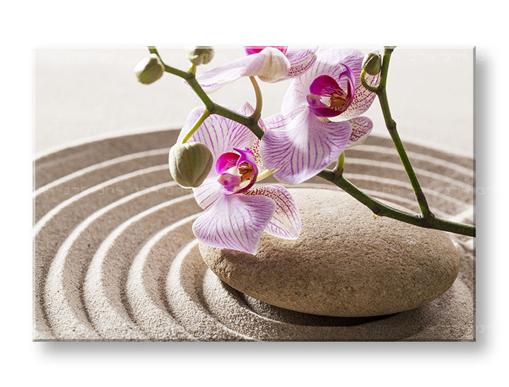 Clasic tablou pe pânză cu motivul FENG SHUI, orhidee, grădină zen, flori, hartă în bej-roz nuanțe, atmosferă liniștită, potrivit pentru sufragerie – principală