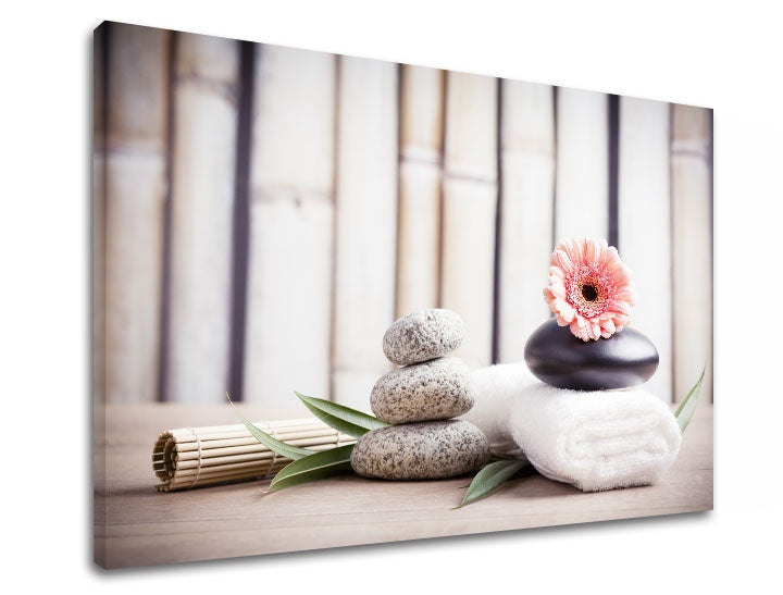 Clasic tablou cu motivul FENG SHUI, bambus, flori în bej-roz nuanțe | Tablou pe pânză FENG SHUI_053-11, natură – previzualizare
