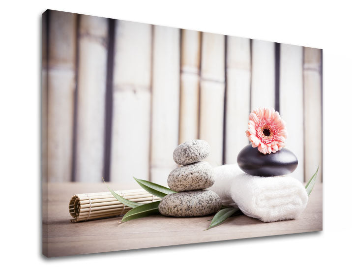 Clasic tablou pe pânză cu motivul FENG SHUI, bambus, flori, natură în bej-roz nuanțe, atmosferă liniștită, natură, potrivit pentru sufragerie – produs