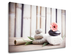 Clasic tablou pe pânză cu motivul FENG SHUI, bambus, flori, natură în bej-roz nuanțe, atmosferă liniștită, natură, potrivit pentru sufragerie – produs