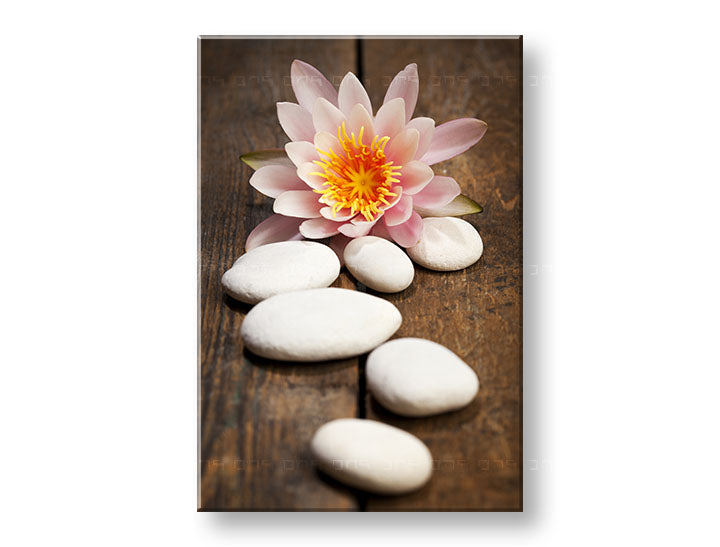În stil boho tablou pe pânză cu motivul FENG SHUI, flori, natură în alb-roz nuanțe, atmosferă liniștită, natură, potrivit pentru sufragerie | Tablou pe pânză FENG SHUI_059-11 – principală