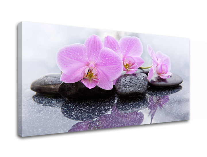 În stil boho tablou pe pânză cu motivul FENG SHUI, natură în alb-roz nuanțe, atmosferă liniștită, natură, potrivit pentru sufragerie | Tablou pe pânză FENG SHUI_062-11 – produs