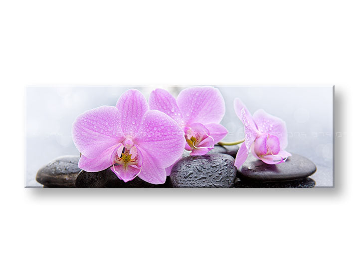 Clasic tablou pe pânză cu motivul FENG SHUI, flori, natură în alb-roz nuanțe, atmosferă liniștită, natură, potrivit pentru sufragerie | Tablou pe pânză FENG SHUI_062-13 – principală