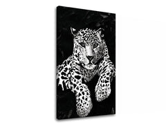Modern tablou pe pânză cu motivul GEPARD 001 în alb-negru nuanțe, atmosferă intensă, natură și forță și putere, potrivit pentru birou | Tablou pe pânză GEPARD 001 – produs