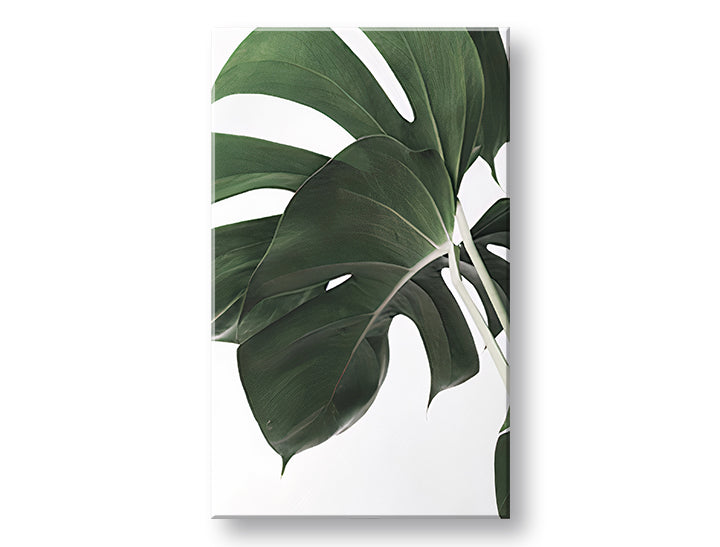 Modern tablou pe pânză cu motivul RASTLINY 010, natură în alb-verde nuanțe, atmosferă liniștită, natură și paradis tropical, potrivit pentru sufragerie – principală