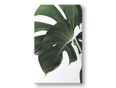 Modern tablou pe pânză cu motivul RASTLINY 010, natură în alb-verde nuanțe, atmosferă liniștită, natură și paradis tropical, potrivit pentru sufragerie – principală