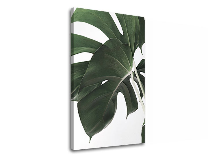 Modern tablou cu motivul RASTLINY 010, natură în alb-verde nuanțe | Tablou pe pânză RASTLINY 010, natură și paradis tropical – previzualizare
