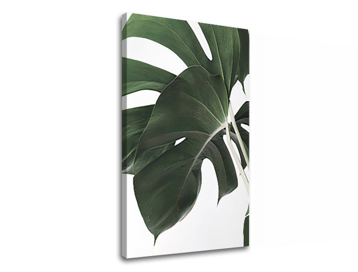 Modern tablou pe pânză cu motivul RASTLINY 010, natură în alb-verde nuanțe, atmosferă liniștită, natură și paradis tropical, potrivit pentru sufragerie – produs