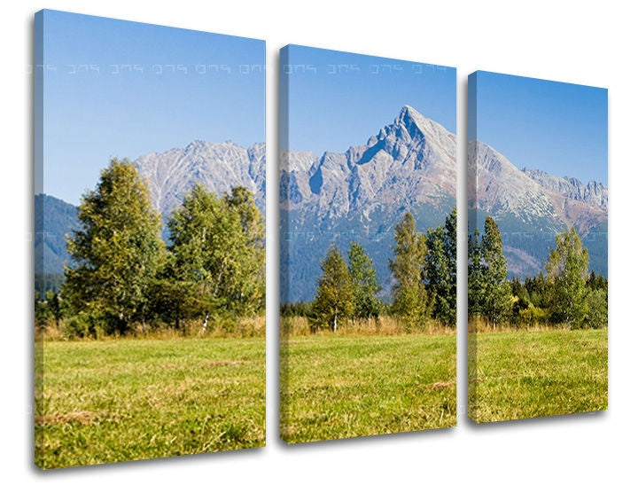 Clasic tablou pe pânză cu motivul SLOVACIA, pădure, pajiște, cer, peisaj în albastru-gri nuanțe, atmosferă liniștită, natură, execuție cu trei panouri – principală