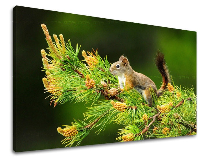 Clasic tablou pe pânză cu motivul animal în maro-verde nuanțe, atmosferă liniștită, atmosferă de primăvară și natură, potrivit pentru cameră de copii | Tablou de perete ANIMALE – principală