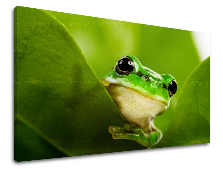 Art deco tablou pe pânză cu motivul peisaj, natură, animal în alb-verde nuanțe, atmosferă liniștită, natură și atmosferă de primăvară, potrivit pentru cameră de copii – principală