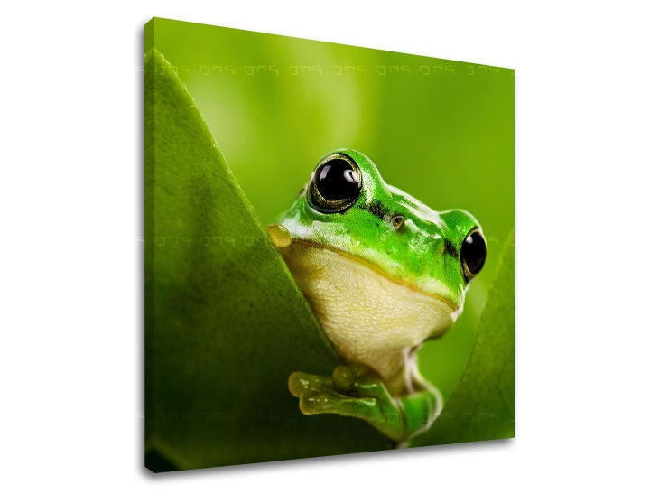 Industrial tablou pe pânză cu motivul list, natură, animal în verde nuanțe, atmosferă liniștită, natură, potrivit pentru cameră de copii | Tablou de perete ANIMALE – principală