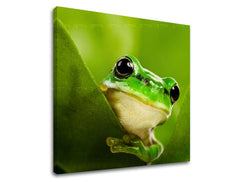 Industrial tablou pe pânză cu motivul list, natură, animal în verde nuanțe, atmosferă liniștită, natură, potrivit pentru cameră de copii | Tablou de perete ANIMALE – principală
