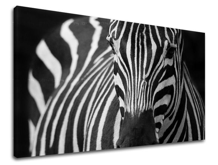 Geometric tablou pe pânză cu motivul animal în alb-negru nuanțe, natură, potrivit pentru birou de lucru | Tablou de perete ANIMALE – principală
