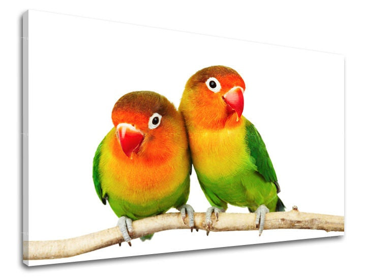 Clasic tablou pe pânză cu motivul păsări, animal în portocaliu-verde nuanțe, atmosferă veselă, natură și atmosferă de primăvară, potrivit pentru cameră de copii – principală