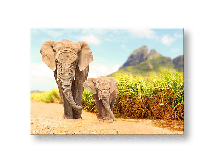 În stil boho tablou pe pânză cu motivul ANIMALE, elefant, munți, cer, natură în albastru-gri nuanțe, atmosferă liniștită, familie și natură, potrivit pentru birou – principală
